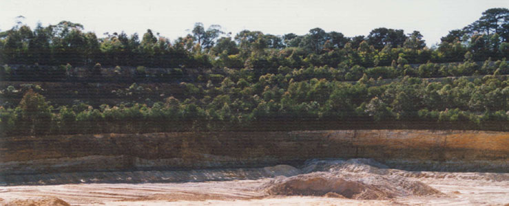 The results of the progressive rehabilitation to be employed at Newnes Junction will be similar to this. Source: Pioneer Quarry, Somersby Plateau.